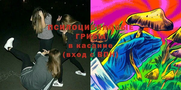 первитин Богородск