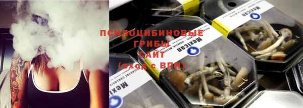 первитин Богородск
