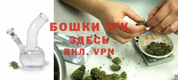 гидра Богородицк