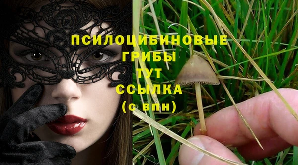 марки lsd Богданович