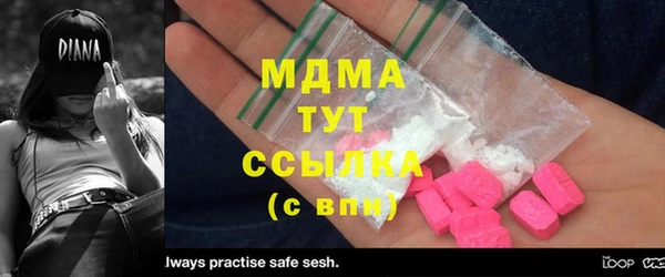 гидра Богородицк