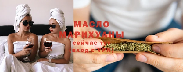 гидра Богородицк