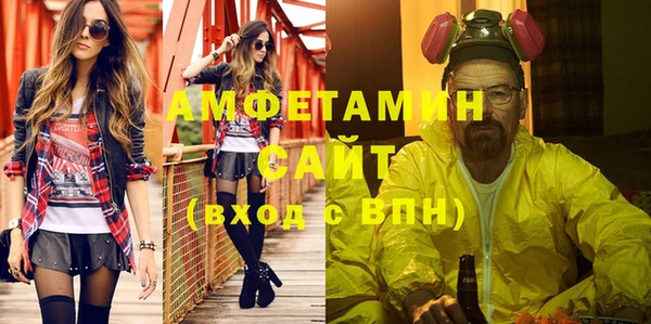 гидра Богородицк