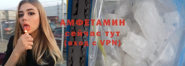 гидра Богородицк