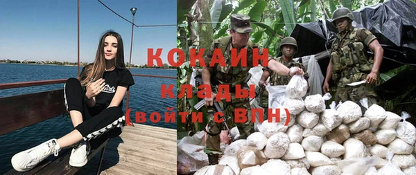 гидра Богородицк
