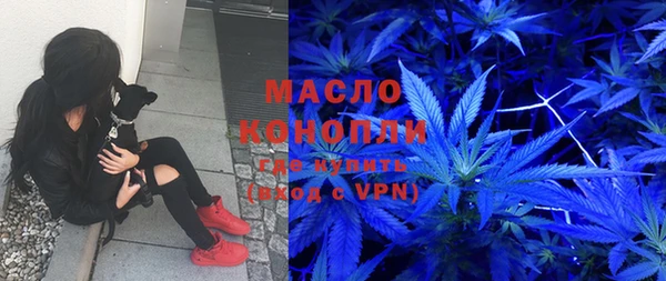 гидра Богородицк