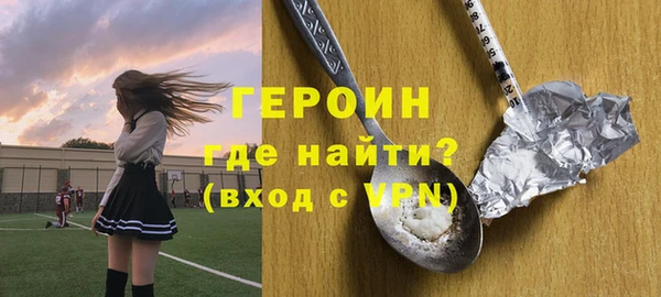 гидра Богородицк