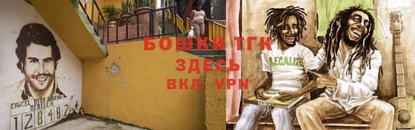 гидра Богородицк
