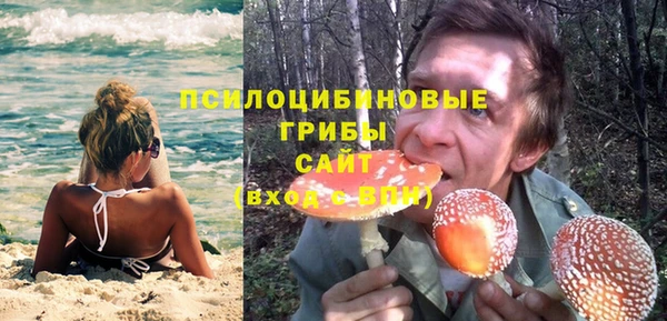 гидра Богородицк