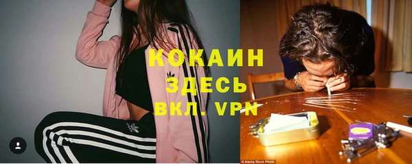 гидра Богородицк