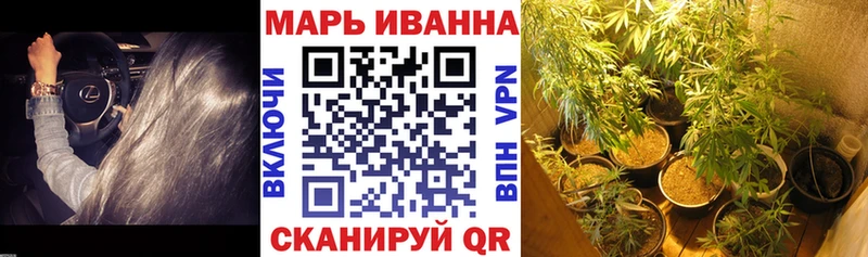 Бошки Шишки MAZAR Окуловка